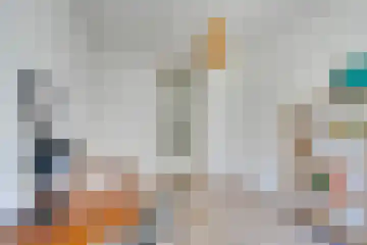 Dick Greinerstraat 62 Amsterdam thumbnail 15