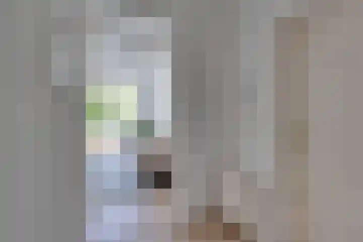 Dick Greinerstraat 62 Amsterdam thumbnail 18
