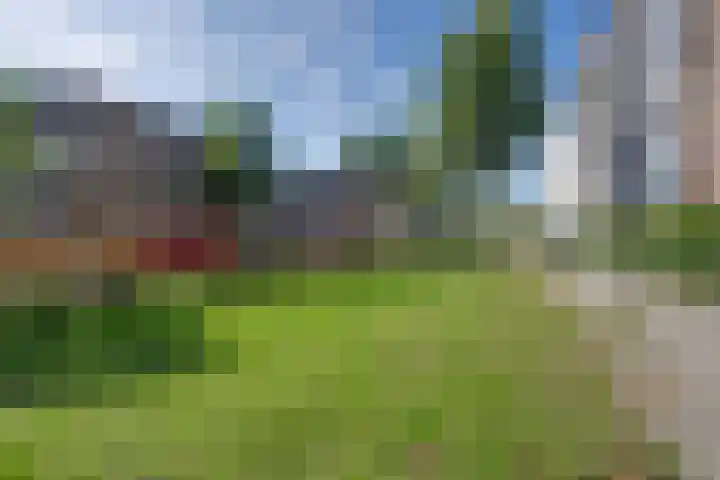 Dick Greinerstraat 62 Amsterdam thumbnail 22