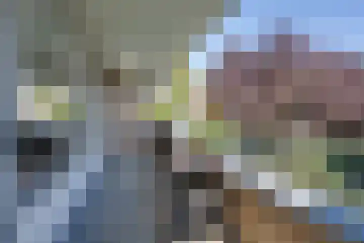 Dick Greinerstraat 62 Amsterdam thumbnail 5