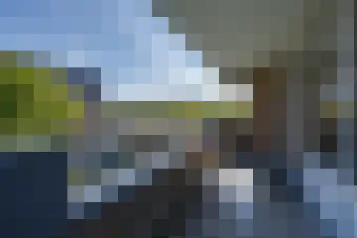 Dick Greinerstraat 62 Amsterdam thumbnail 6