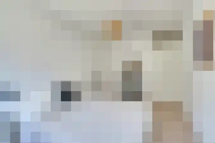 Dick Greinerstraat 62 Amsterdam thumbnail 9