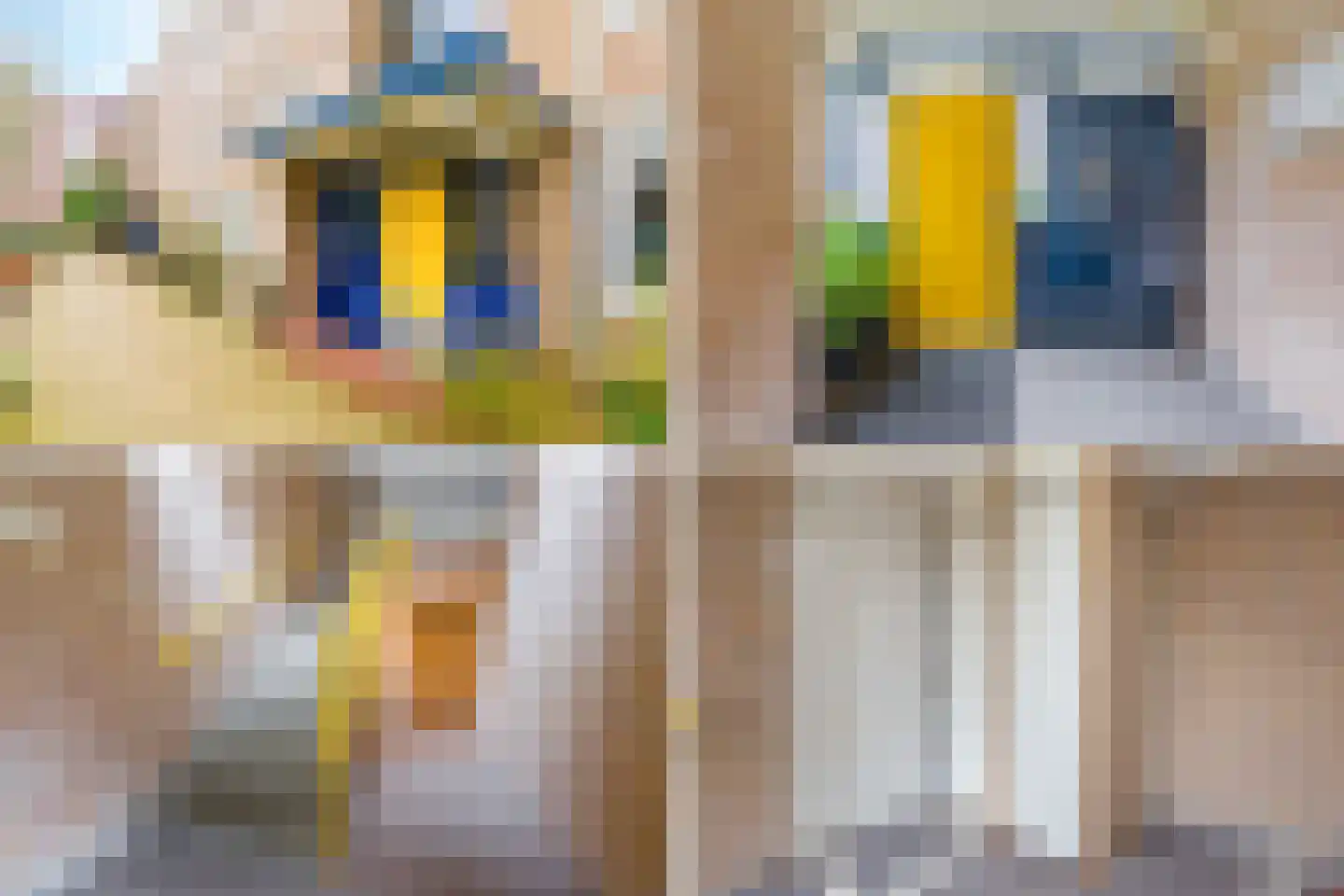 Dick Greinerstraat 74 Amsterdam thumbnail 33