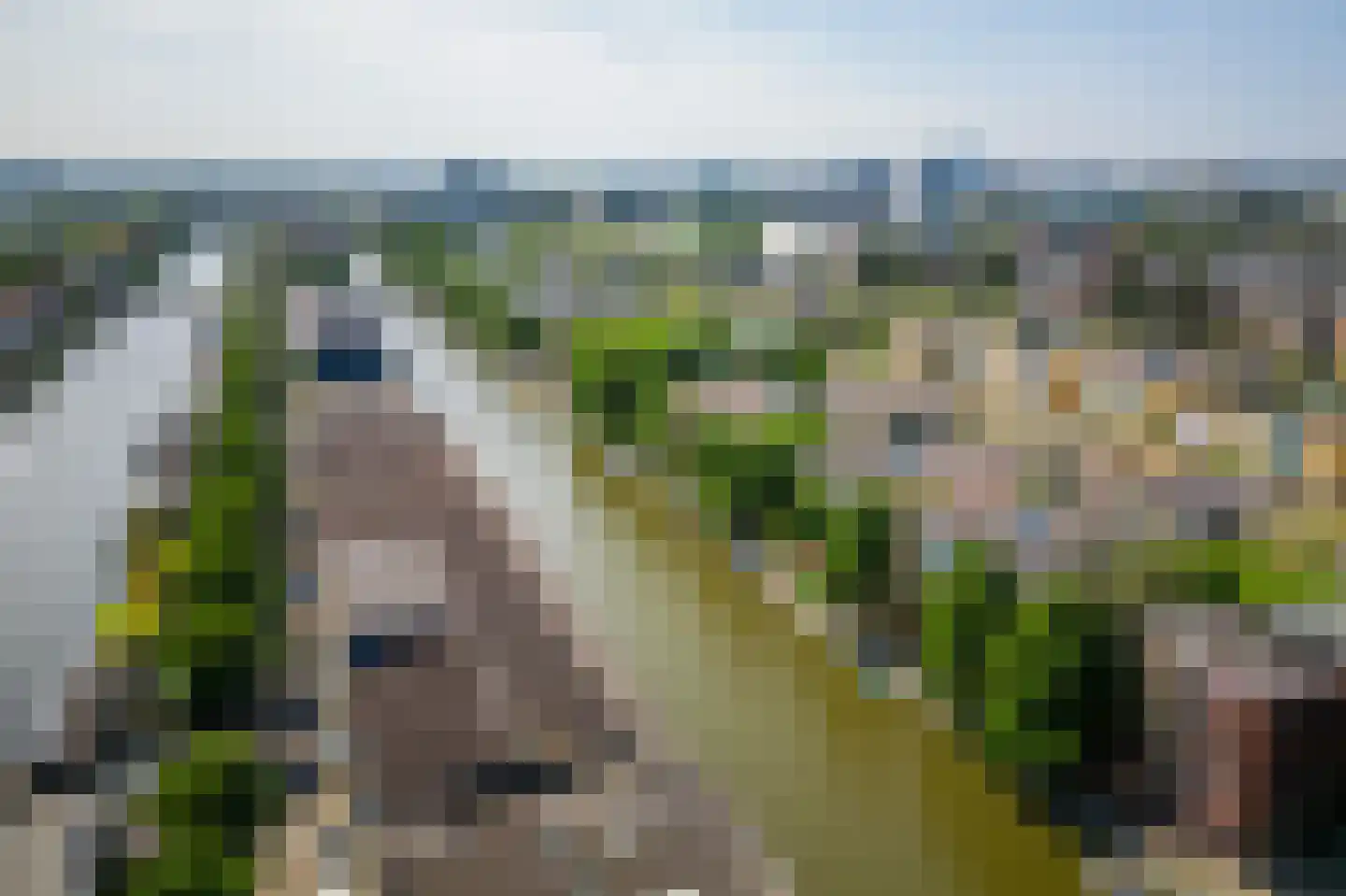 Dick Greinerstraat 74 Amsterdam thumbnail 38