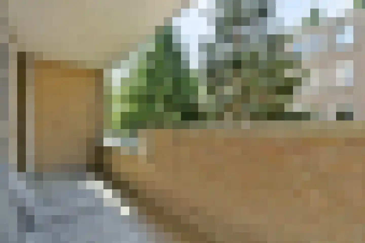 Dick Greinerstraat 84 Amsterdam thumbnail 10