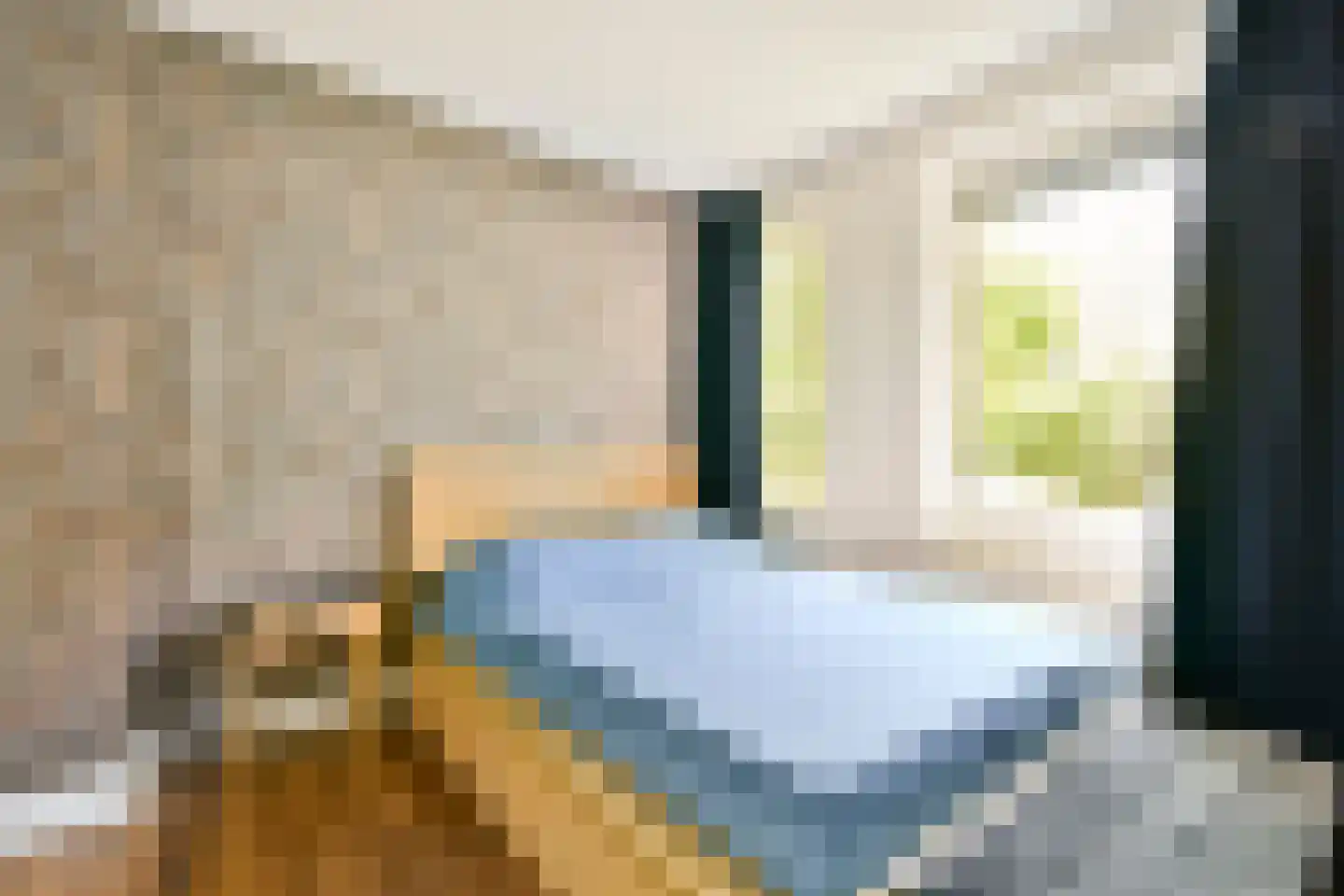 Dick Greinerstraat 84 Amsterdam thumbnail 14