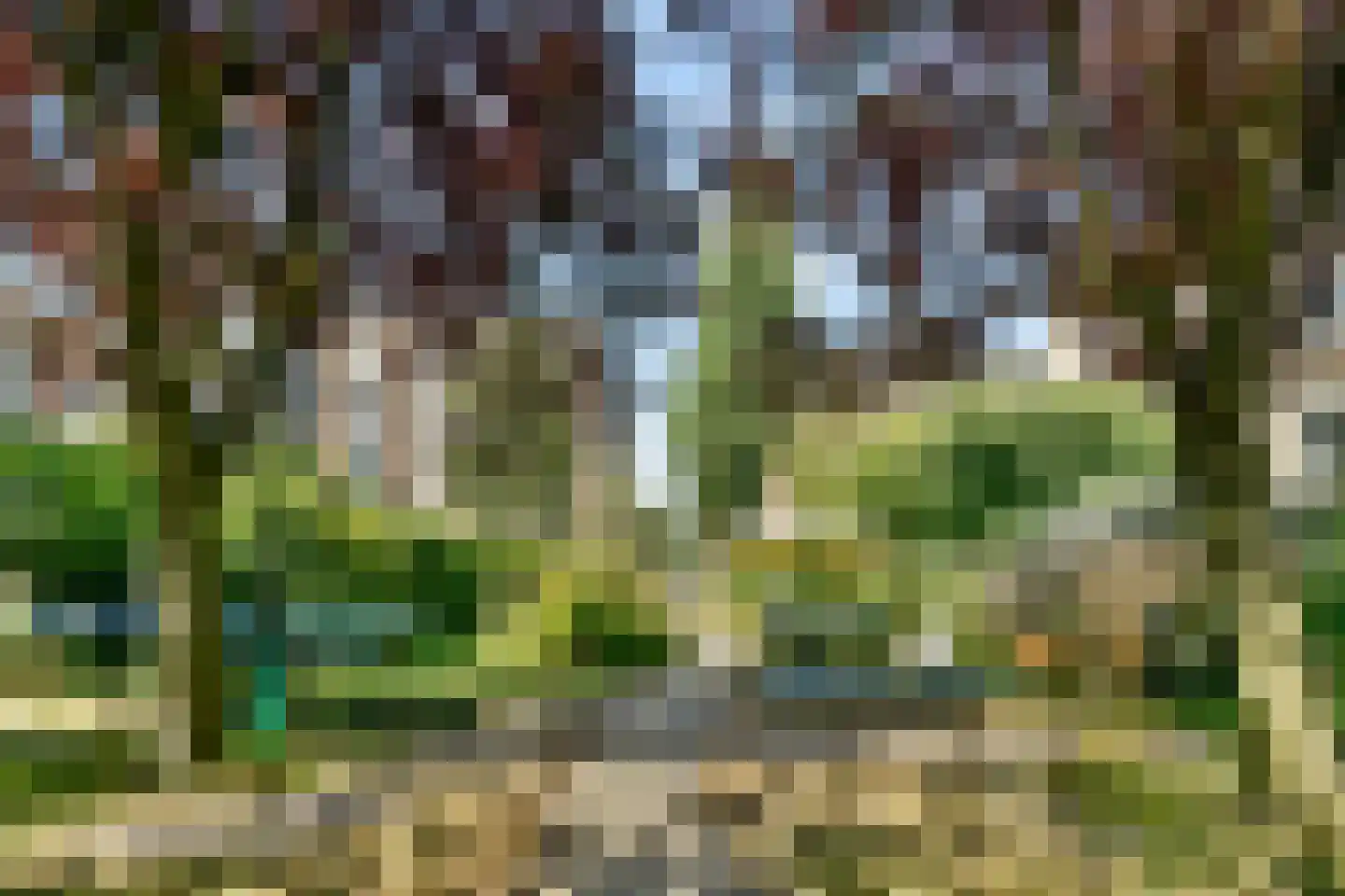 Dick Greinerstraat 84 Amsterdam thumbnail 17