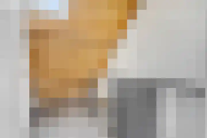 Dick Ketstraat 35 Ede thumbnail 23