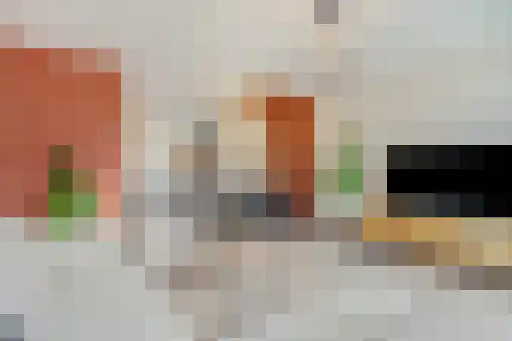 Dick Ketstraat 35 Ede thumbnail 7