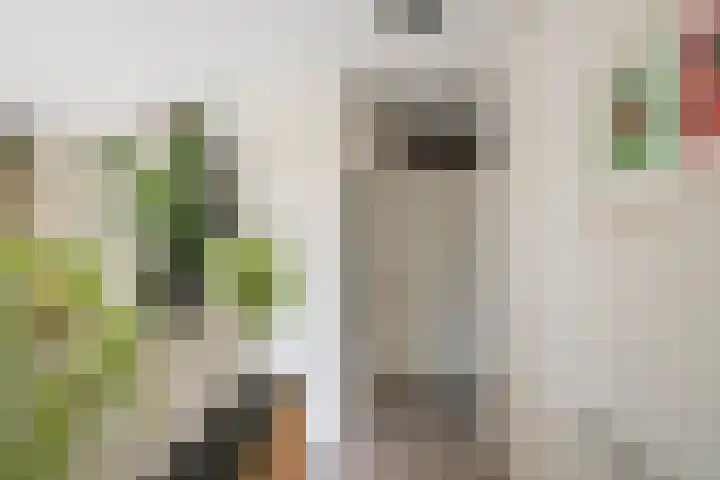 Dick Laanplein 5 Wormerveer thumbnail 12