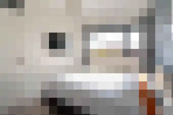 Dick Laanplein 5 Wormerveer thumbnail 23