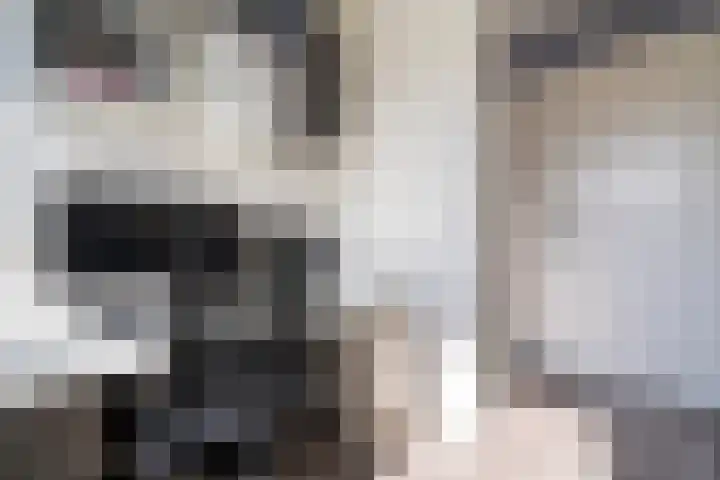 Dick Laanplein 5 Wormerveer thumbnail 26
