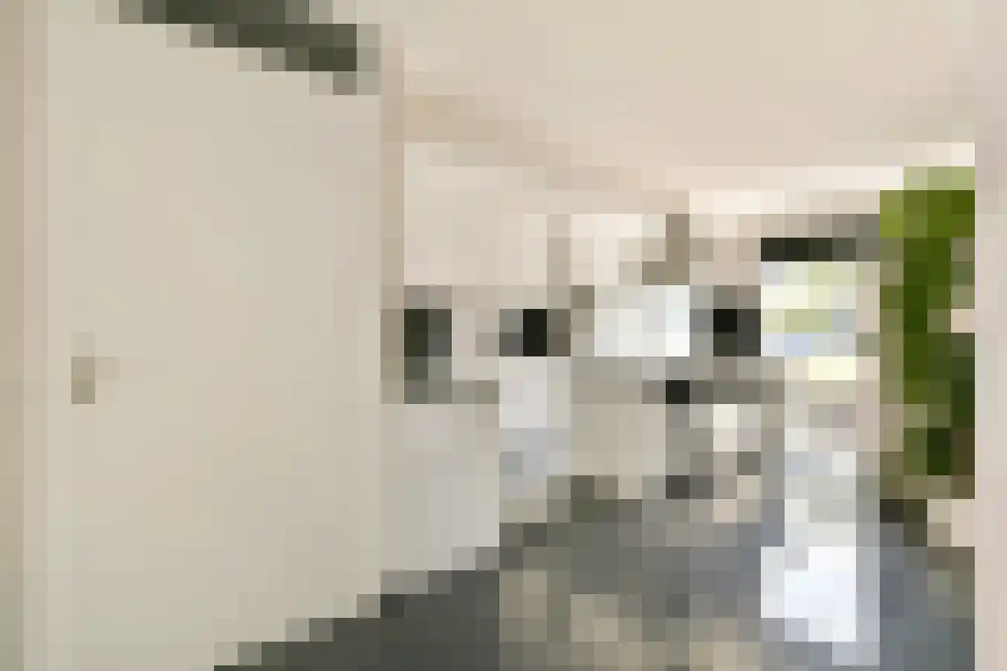 Dick Laanweg 16 Almere thumbnail 13