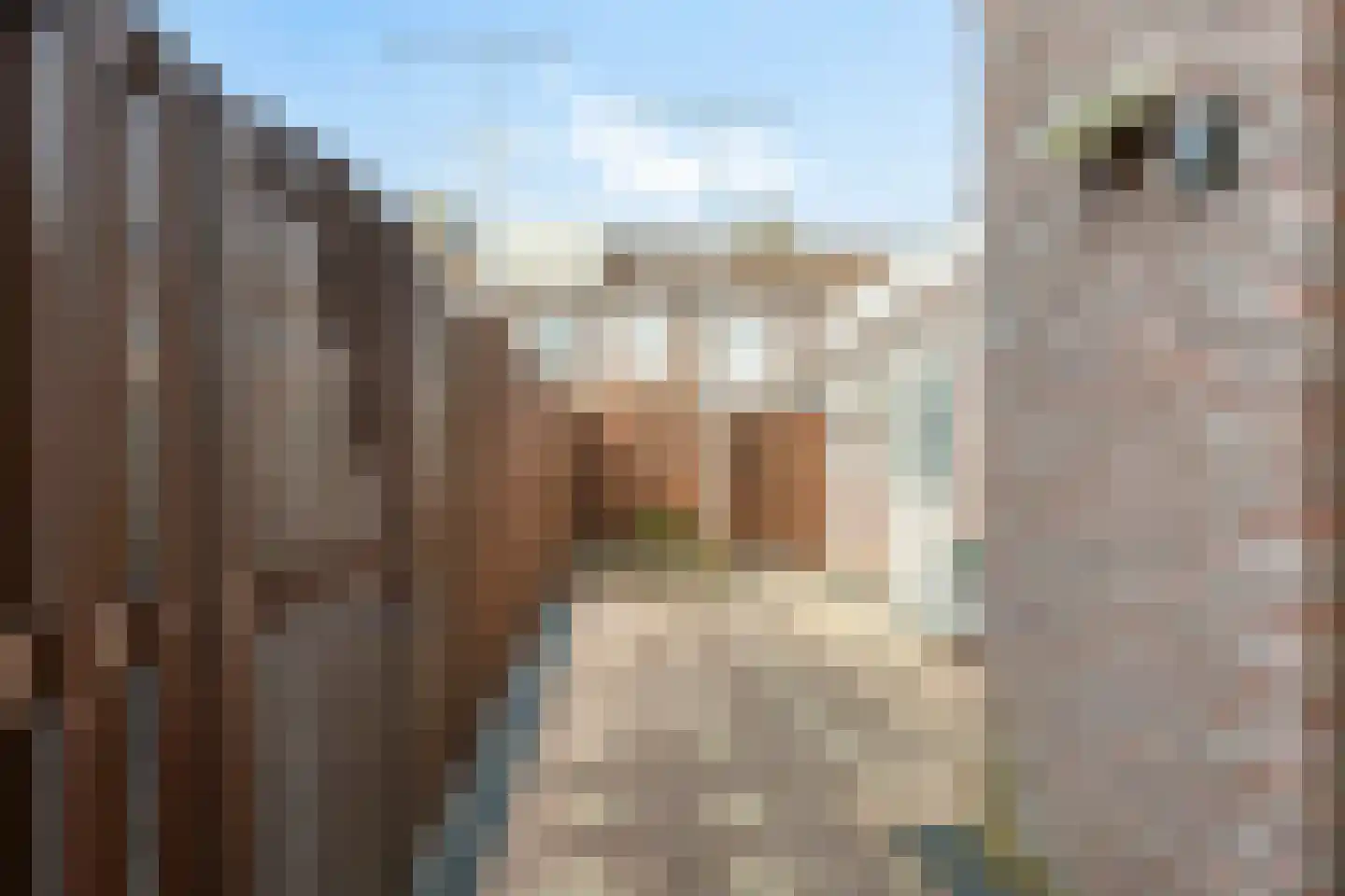 Dick Tolstraat 10 Volendam thumbnail 17