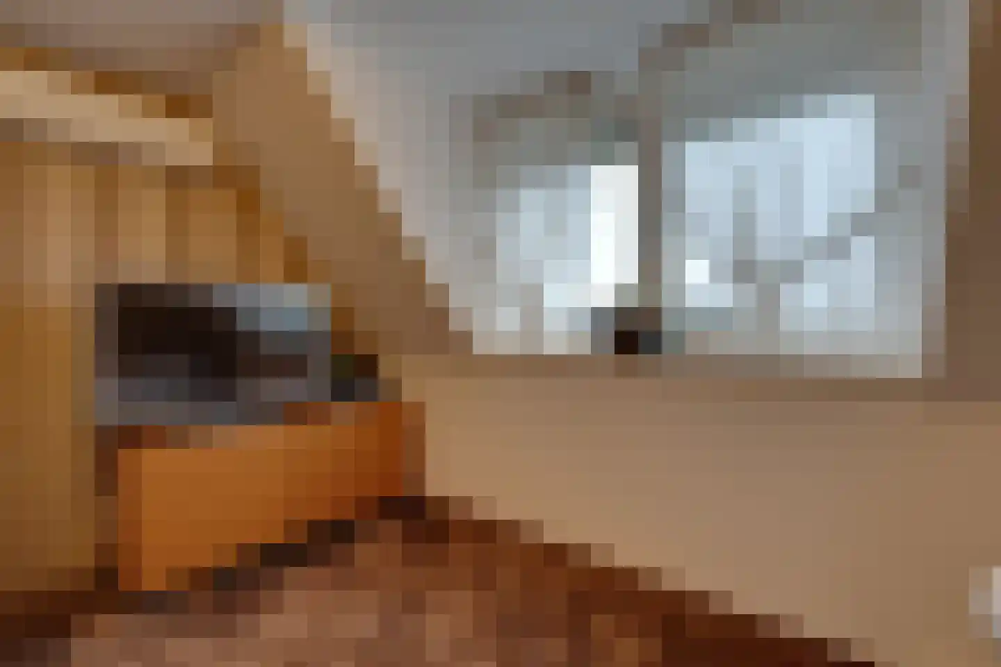 Dick Tolstraat 65 Volendam thumbnail 47