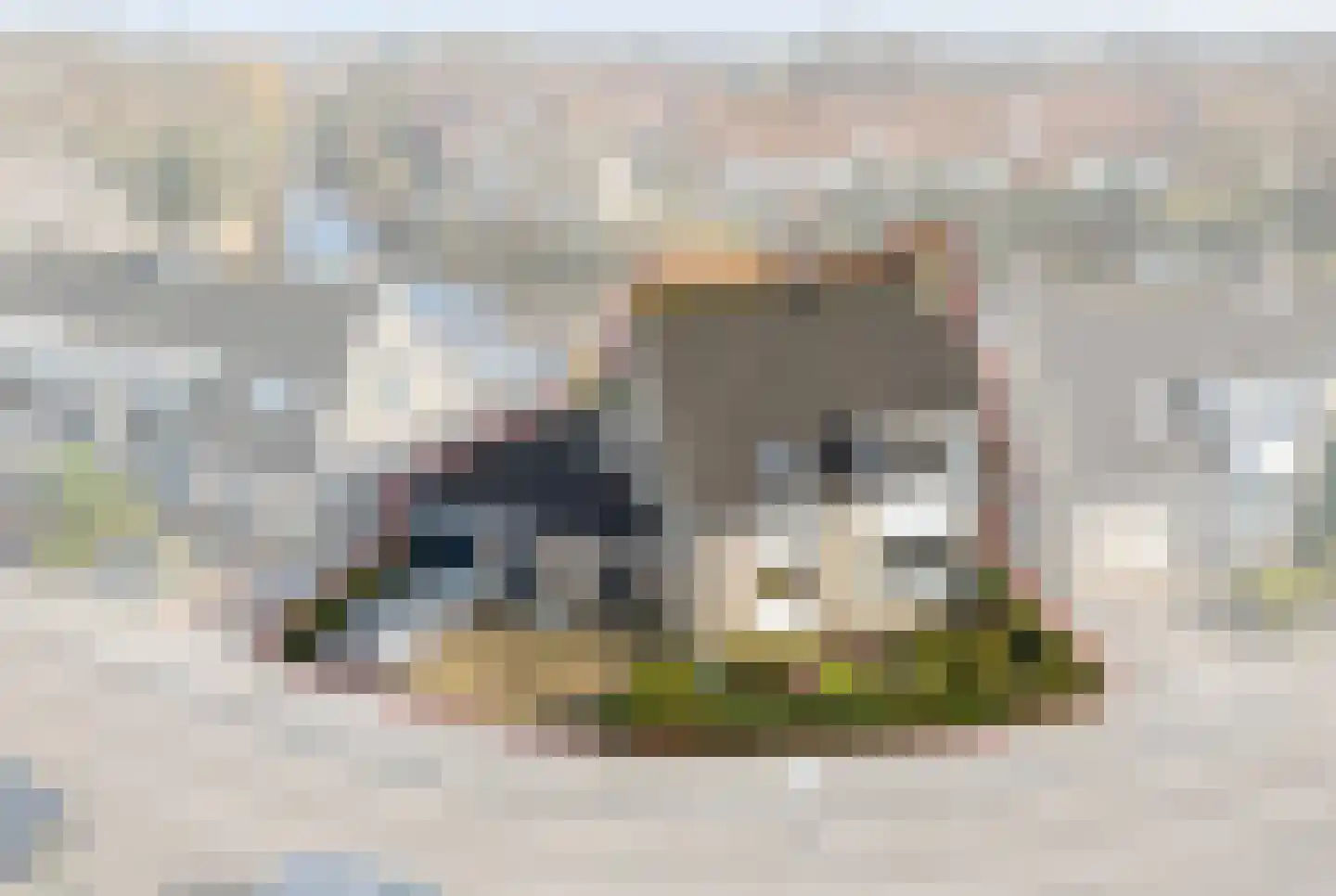 Dick Tolstraat 65 Volendam thumbnail 63