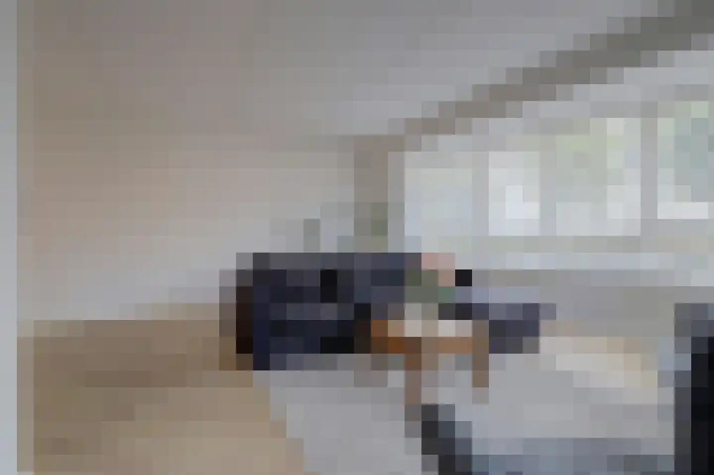 Dick van Tussenbroekhof 6 Zaltbommel thumbnail 10