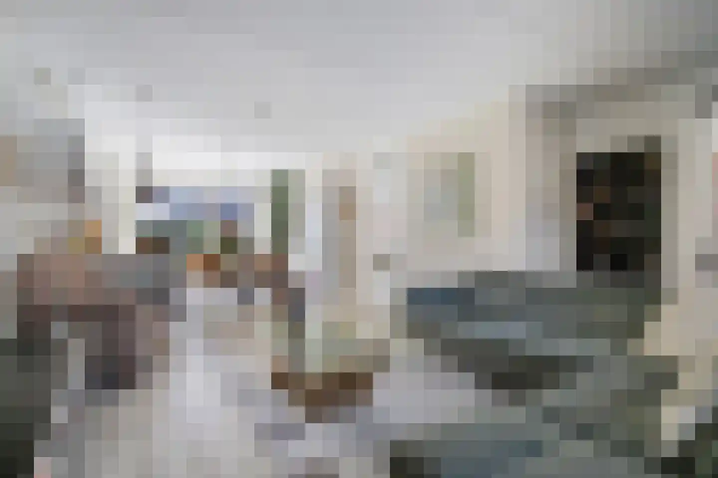 Dick van Tussenbroekhof 8 Zaltbommel thumbnail 14