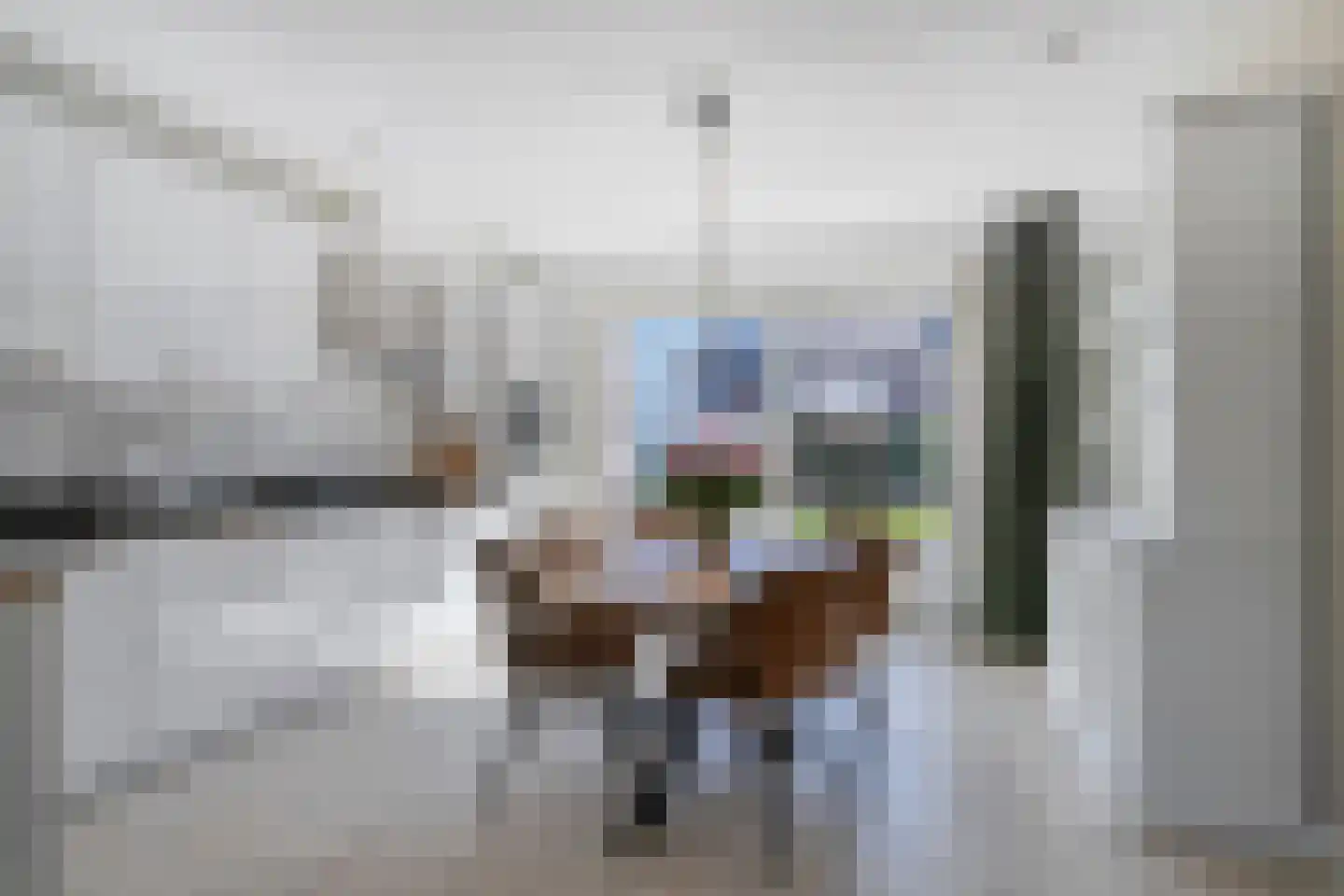 Dick van Tussenbroekhof 8 Zaltbommel thumbnail 16
