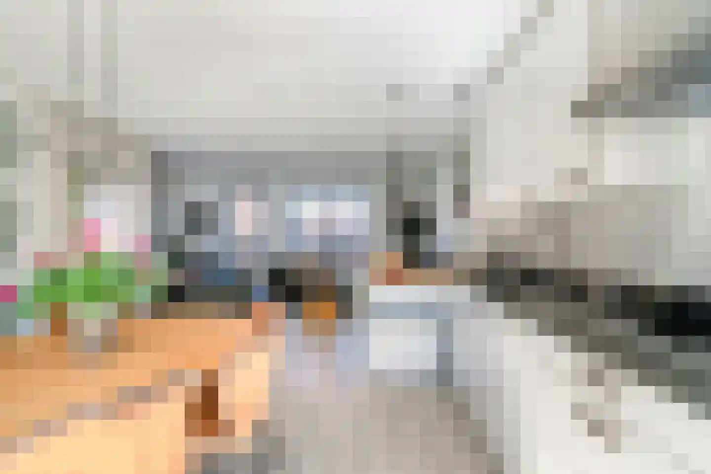 Dick van Tussenbroekhof 8 Zaltbommel thumbnail 18