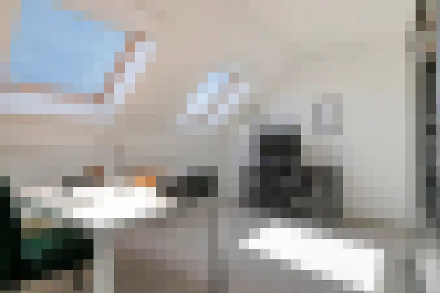 Dick van Tussenbroekhof 8 Zaltbommel thumbnail 36