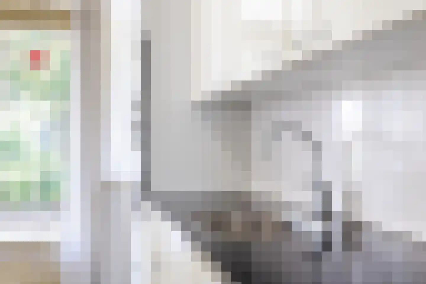 Dickenslaan 131 Amsterdam thumbnail 11
