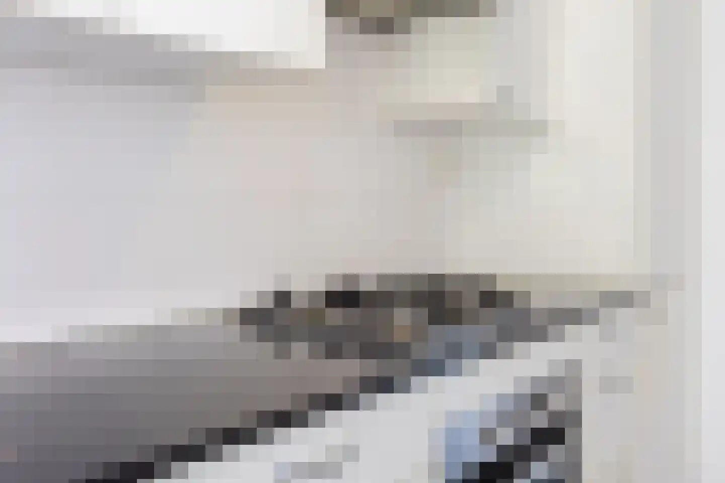 Dickenslaan 131 Amsterdam thumbnail 12