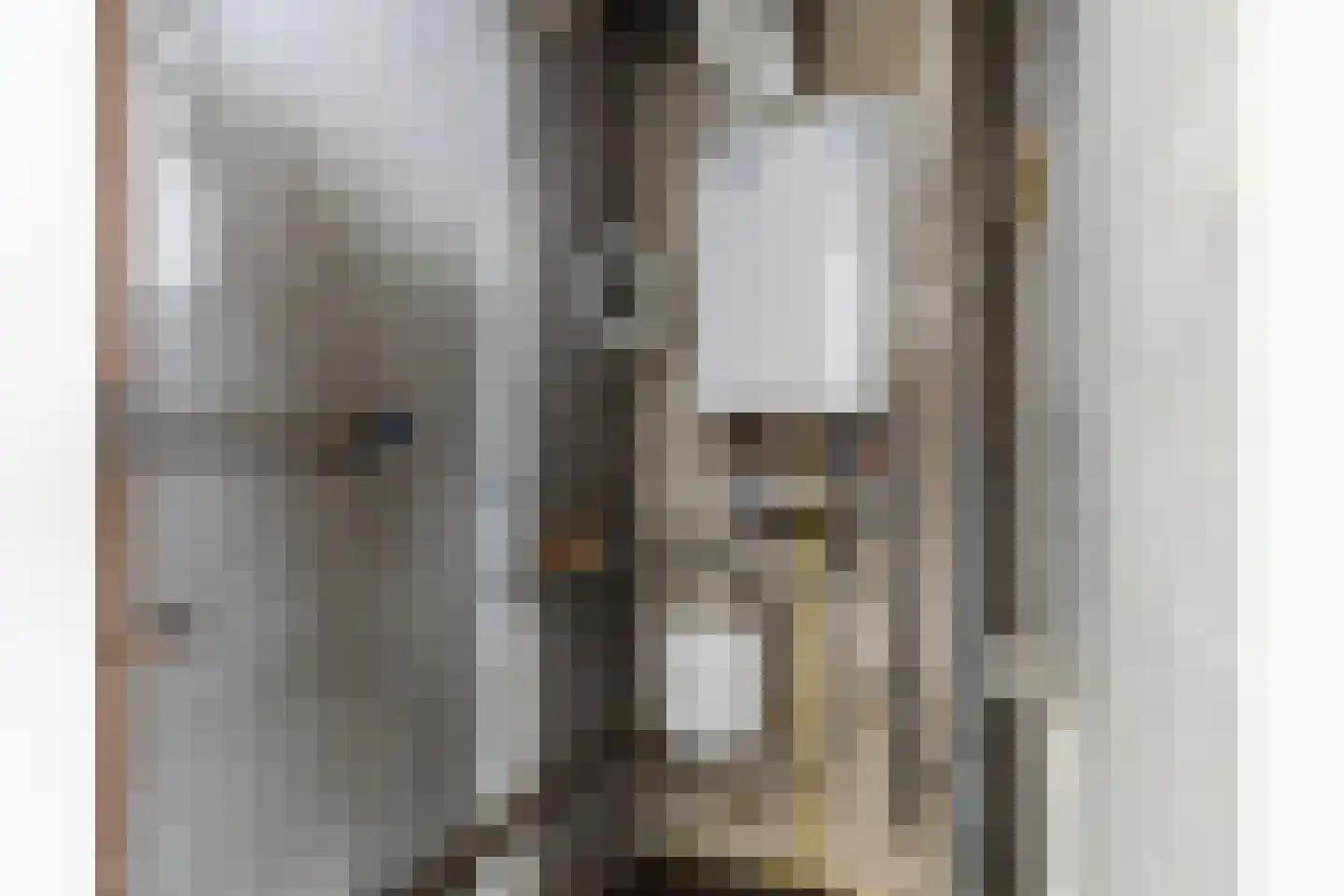 Dickenslaan 131 Amsterdam thumbnail 22