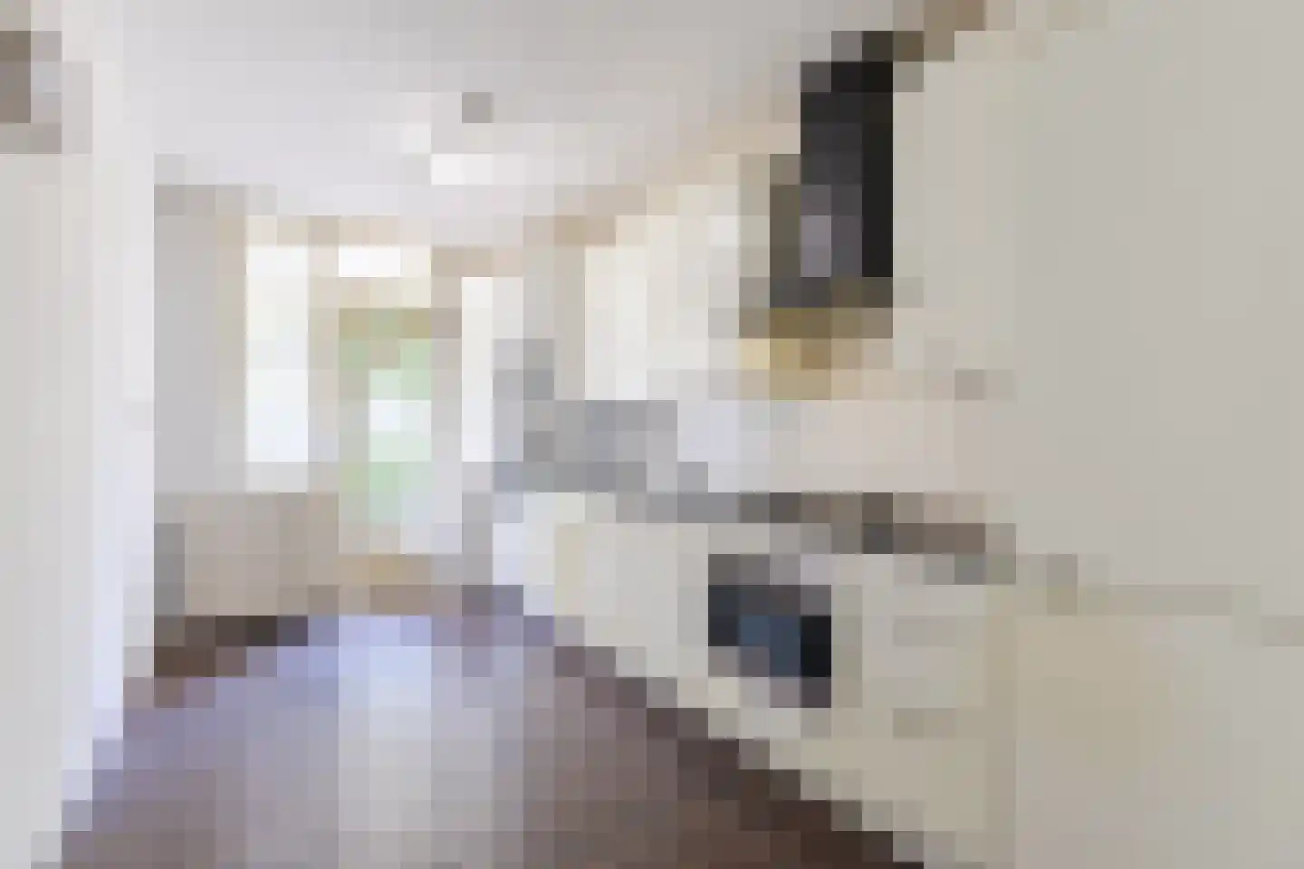 Dickenslaan 131 Amsterdam thumbnail 4