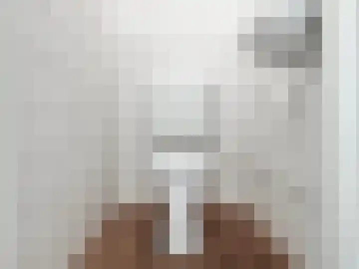 Dickenslaan 140 Amsterdam thumbnail 17