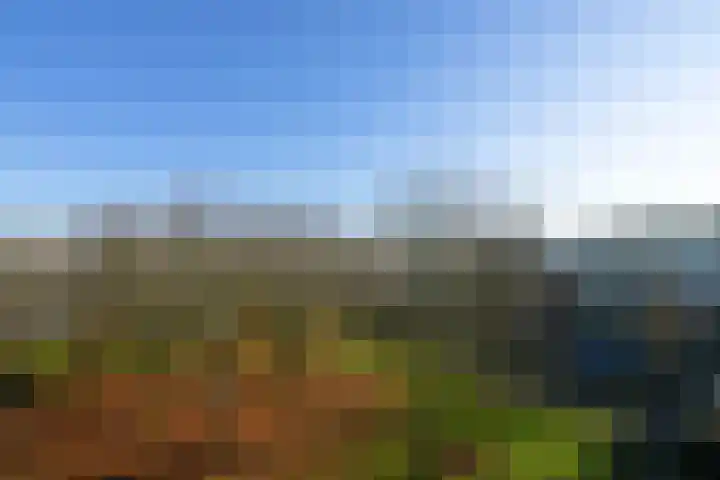 Dickenslaan 145 Amsterdam thumbnail 13