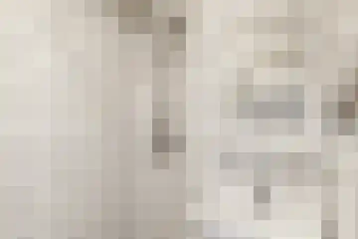 Dickenslaan 145 Amsterdam thumbnail 17