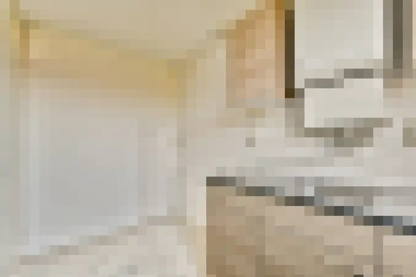 Dickenslaan 176 Amsterdam thumbnail 11