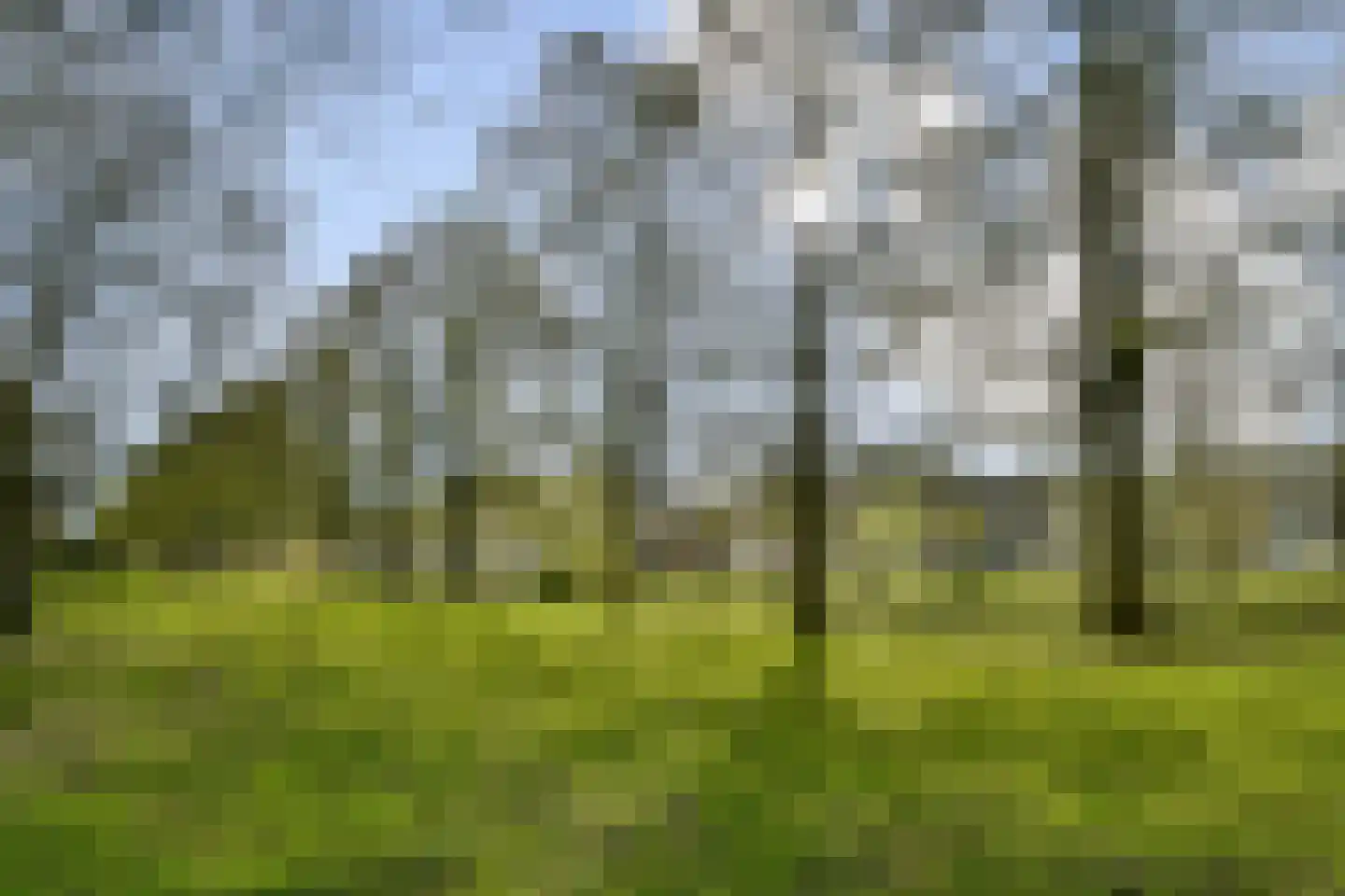 Dickenslaan 176 Amsterdam thumbnail 18