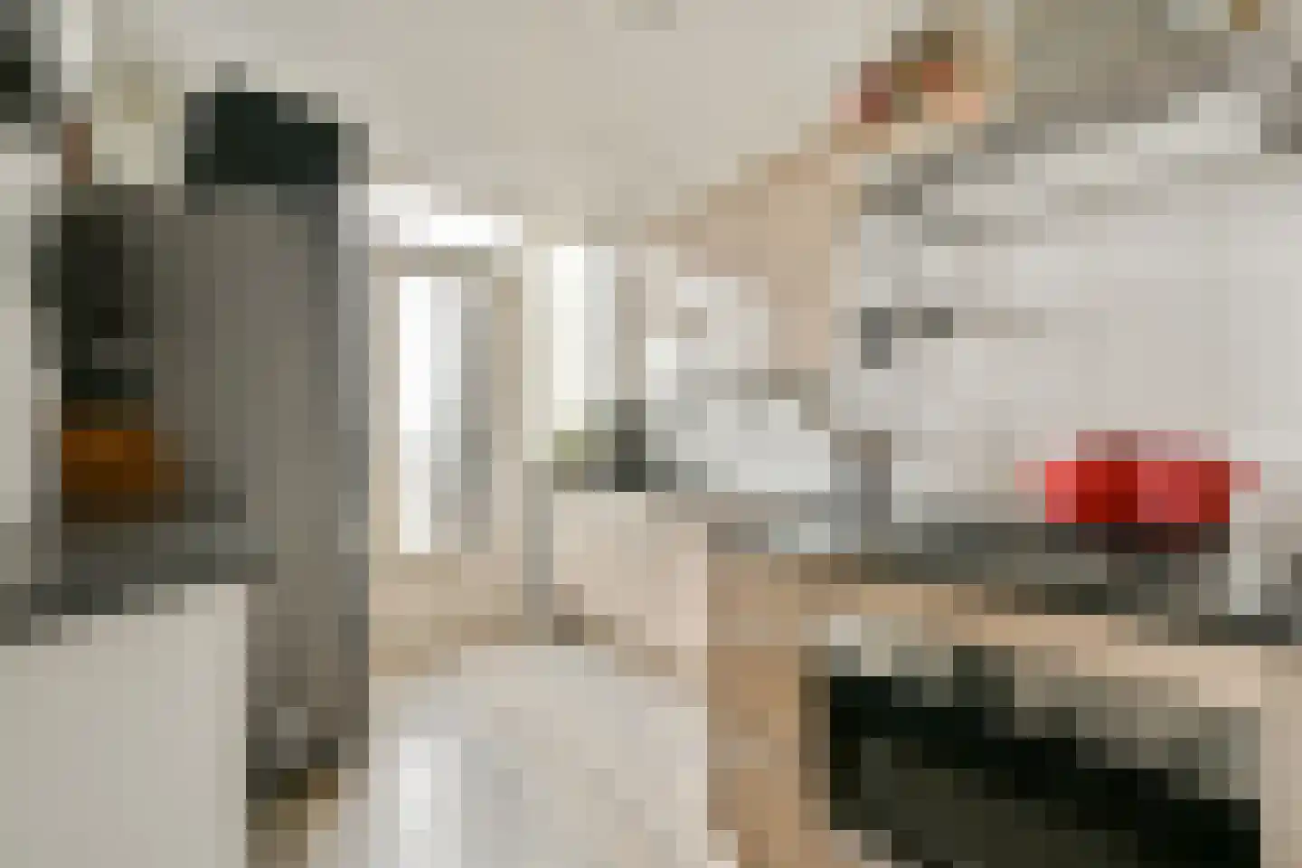 Dickenslaan 183 Amsterdam thumbnail 10