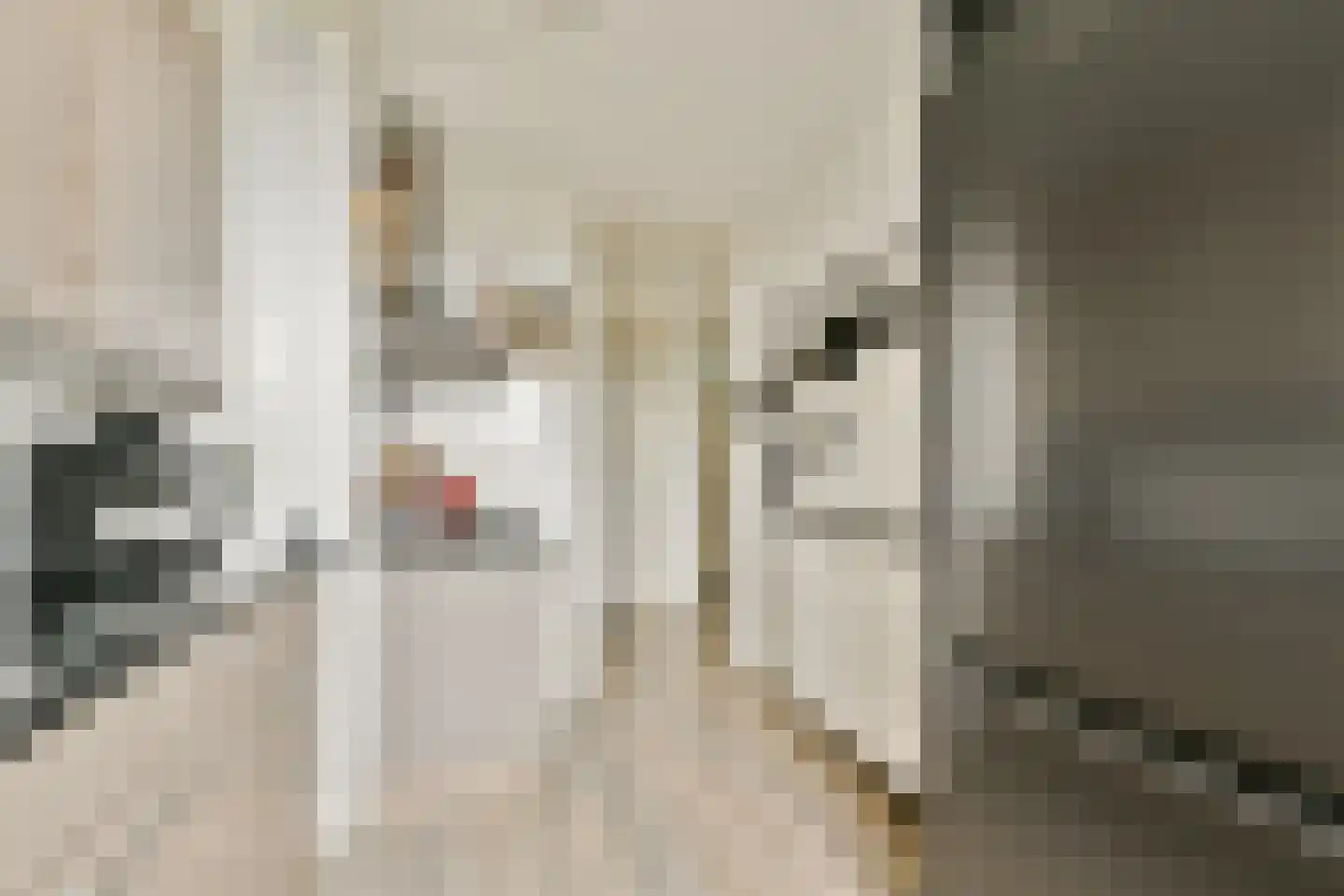 Dickenslaan 183 Amsterdam thumbnail 11