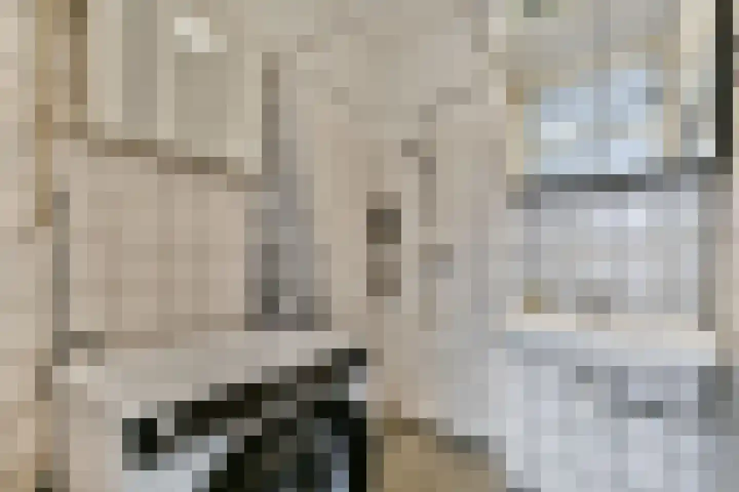 Dickenslaan 183 Amsterdam thumbnail 12
