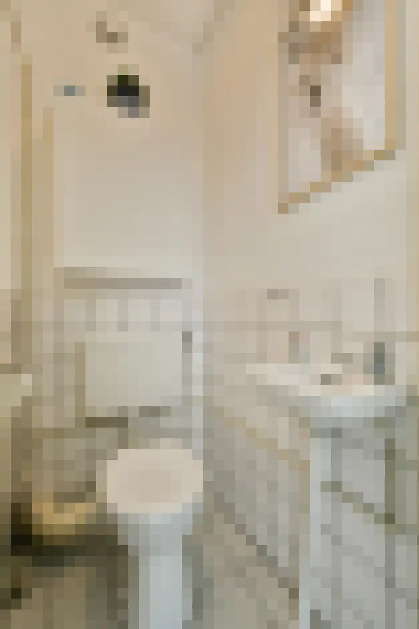 Dickenslaan 183 Amsterdam thumbnail 13