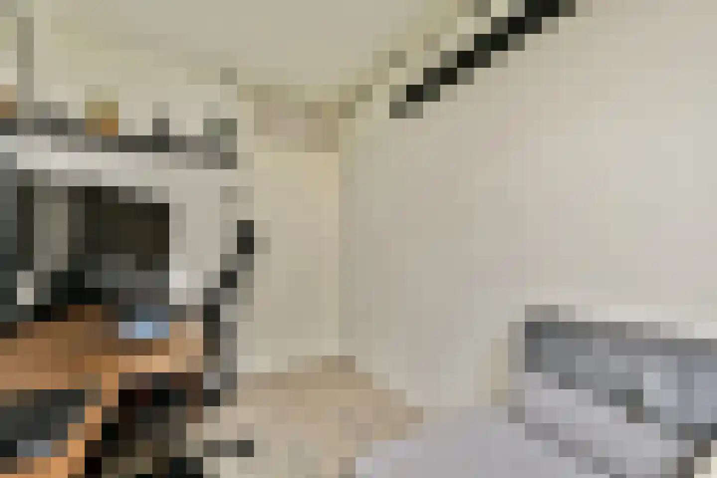 Dickenslaan 183 Amsterdam thumbnail 15