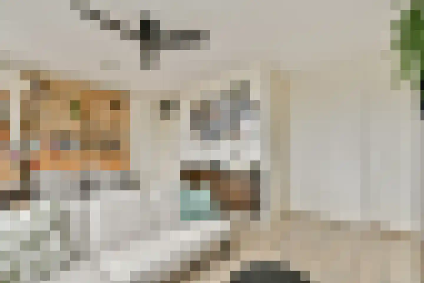 Dickenslaan 183 Amsterdam thumbnail 6