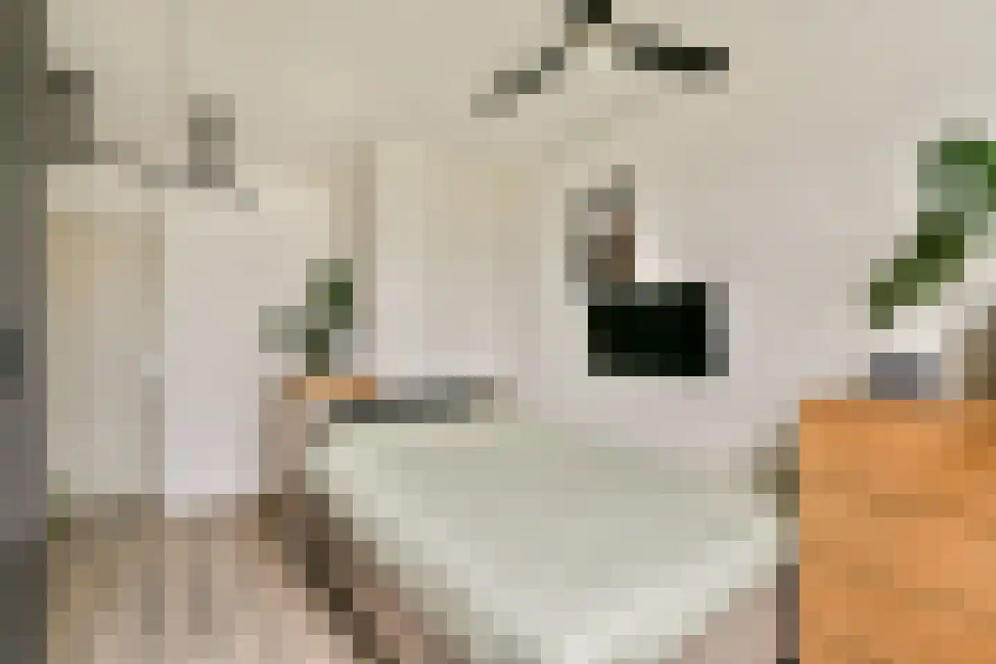 Dickenslaan 183 Amsterdam thumbnail 8