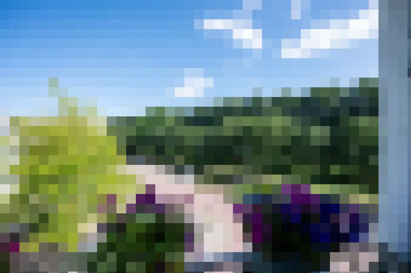 Dickenslaan 234 Amsterdam thumbnail 10