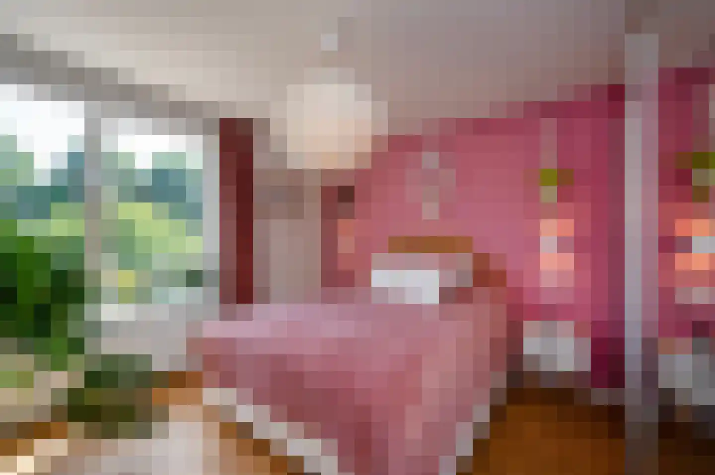 Dickenslaan 234 Amsterdam thumbnail 13