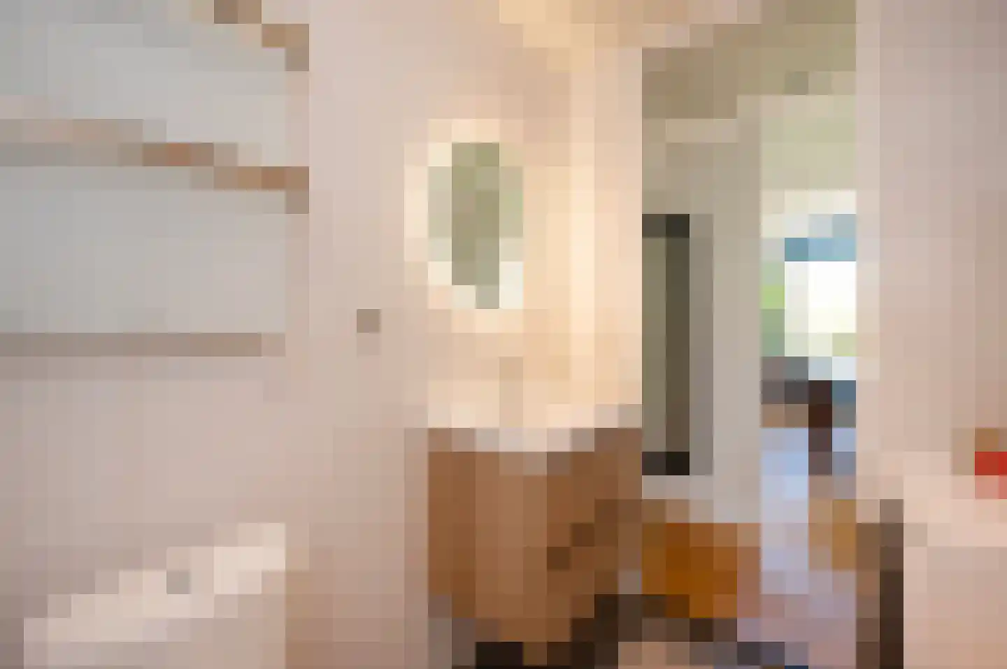 Dickenslaan 234 Amsterdam thumbnail 17