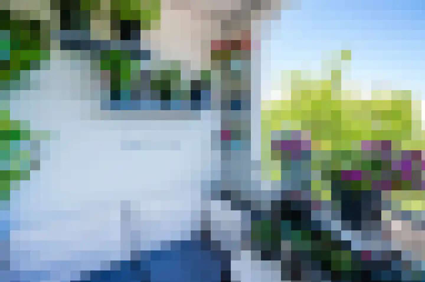 Dickenslaan 234 Amsterdam thumbnail 9