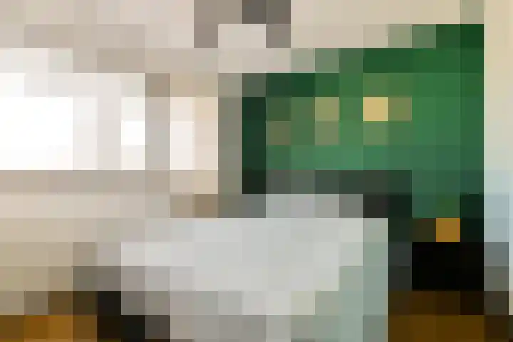 Dickenslaan 238 Amsterdam thumbnail 14
