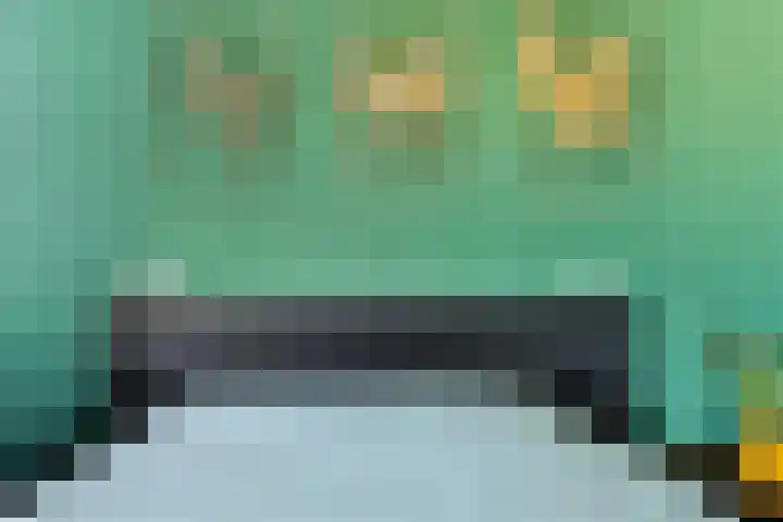 Dickenslaan 238 Amsterdam thumbnail 15