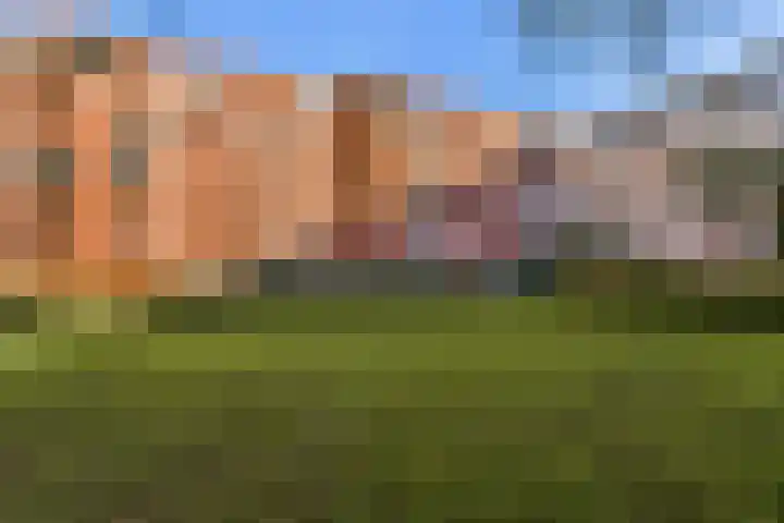 Dickenslaan 238 Amsterdam thumbnail 20