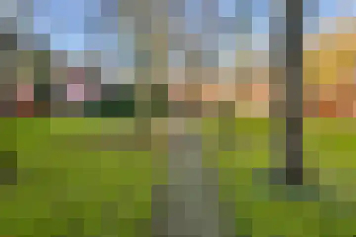 Dickenslaan 238 Amsterdam thumbnail 21