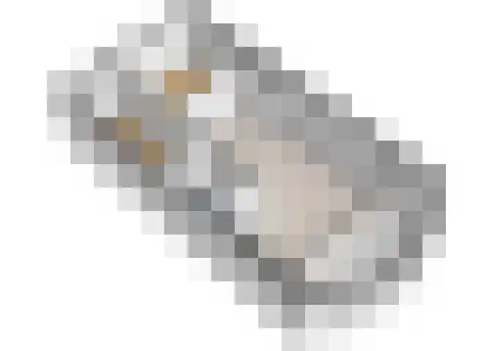 Dickenslaan 238 Amsterdam thumbnail 23
